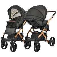 Cărucior pentru copil Lorelli Rimini Premium 10021622401/ Black photo 6