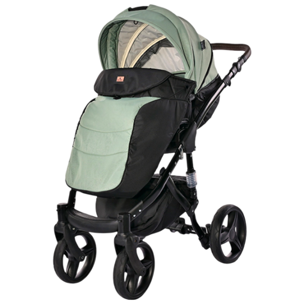 Cărucior pentru copil Lorelli Rimini Premium 10021622407/ Green photo 6