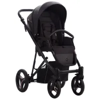Детская коляска Bebetto Flavio PRO 44779/ Black photo 4