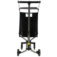 Cărucior pentru copil Qplay T18 45399/ Black photo 2