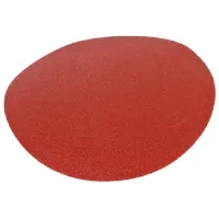 Disc de șlefuit Holzmann ST300K120 Universală