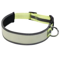 Zgardă Beeztees GlowInTheDark pentru câine