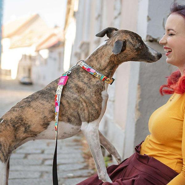 Zgardă Max & Molly Smart ID Missy Pop pentru câine/ S photo 4 Zgardă Max & Molly Smart ID Missy Pop pentru câine/ S photo 4