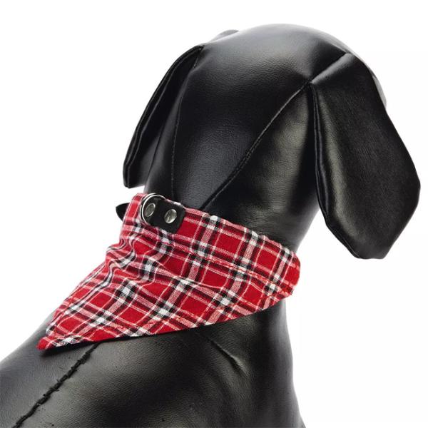 Zgardă Beeztees COLLAR+CLOTH pentru câine photo 2 Zgardă Beeztees COLLAR+CLOTH pentru câine photo 2