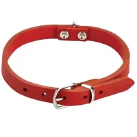 Zgardă Beeztees 735303 pentru câine