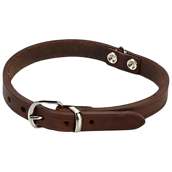 Zgardă Beeztees 735342 pentru câine photo 1 Zgardă Beeztees 735342 pentru câine photo 1