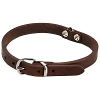 Zgardă Beeztees 735342 pentru câine