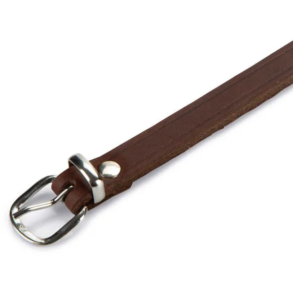 Zgardă Beeztees 735342 pentru câine photo 2 Zgardă Beeztees 735342 pentru câine photo 2