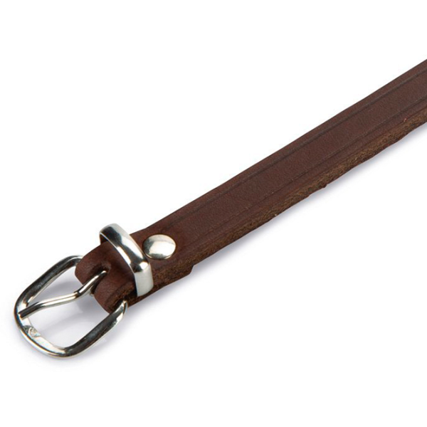 Zgardă Beeztees 735342 pentru câine photo 2 Zgardă Beeztees 735342 pentru câine photo 2