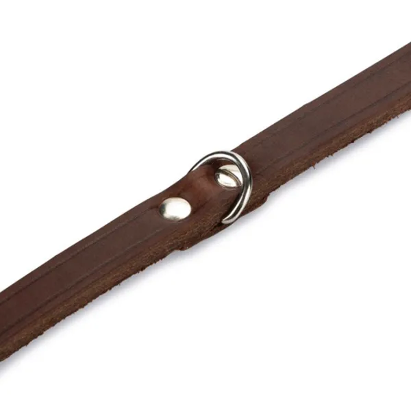 Zgardă Beeztees 735342 pentru câine photo 3 Zgardă Beeztees 735342 pentru câine photo 3