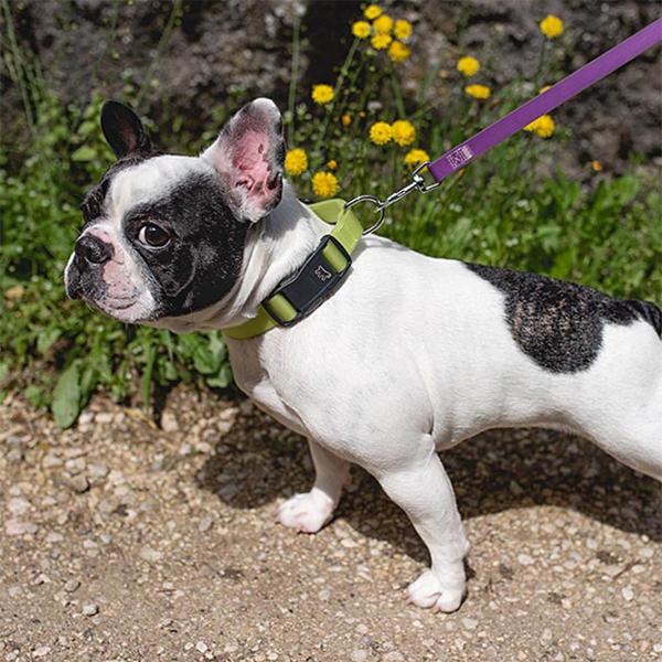 Zgardă Ferplast Evolution pentru câine/ M photo 3 Zgardă Ferplast Evolution pentru câine/ M photo 3