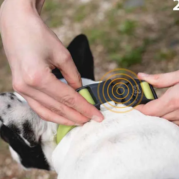 Zgardă Ferplast Evolution pentru câine/ M photo 4 Zgardă Ferplast Evolution pentru câine/ M photo 4