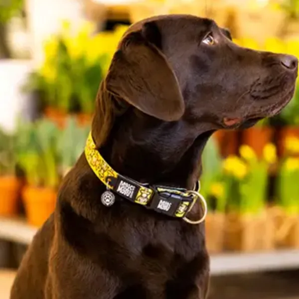 Чокер Max & Molly Monkey Maniac для собаки/ XS photo 5 Чокер Max & Molly Monkey Maniac для собаки/ XS photo 5