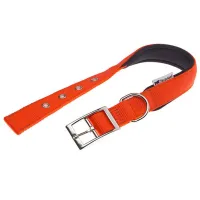 Zgardă Ferplast Daytona pentru câine