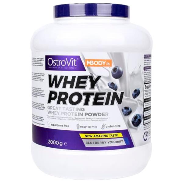 Протеин OstroVit Whey Protein 2000 г (5902232613445) порошок/ Черника photo 1 Протеин OstroVit Whey Protein 2000 г (5902232613445) порошок/ Черника photo 1