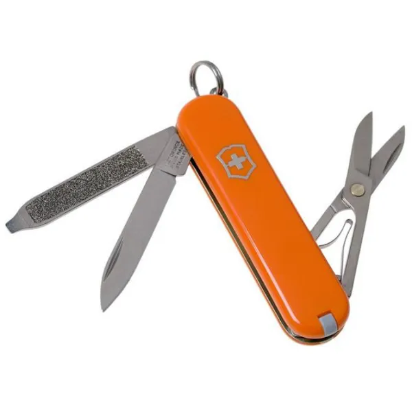 Нож Victorinox Classic SD кемпинговый/ 1.4110 photo 1 Нож Victorinox Classic SD кемпинговый/ 1.4110 photo 1