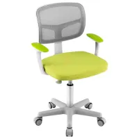 Fotoliu de birou Costway HY10252GN Plasă acrilică/ Green Gray