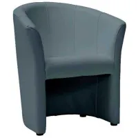 Fotoliu Signal TM-1 Gray