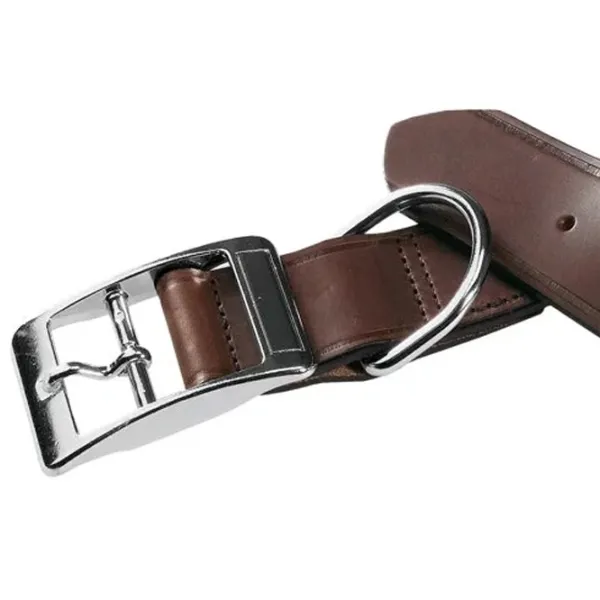 Zgardă Ferplast VIP pentru câine photo 2 Zgardă Ferplast VIP pentru câine photo 2