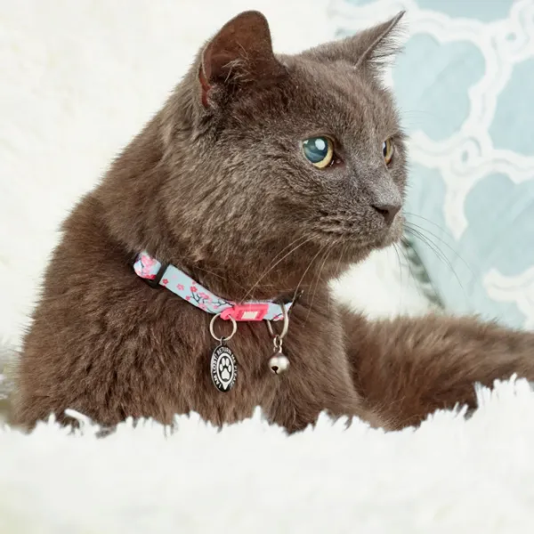 Zgardă Max & Molly Smart ID Cat Cherry Bloom pentru pisici photo 3 Zgardă Max & Molly Smart ID Cat Cherry Bloom pentru pisici photo 3