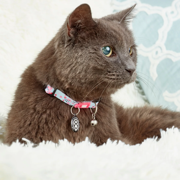 Zgardă Max & Molly Smart ID Cat Cherry Bloom pentru pisici photo 3 Zgardă Max & Molly Smart ID Cat Cherry Bloom pentru pisici photo 3