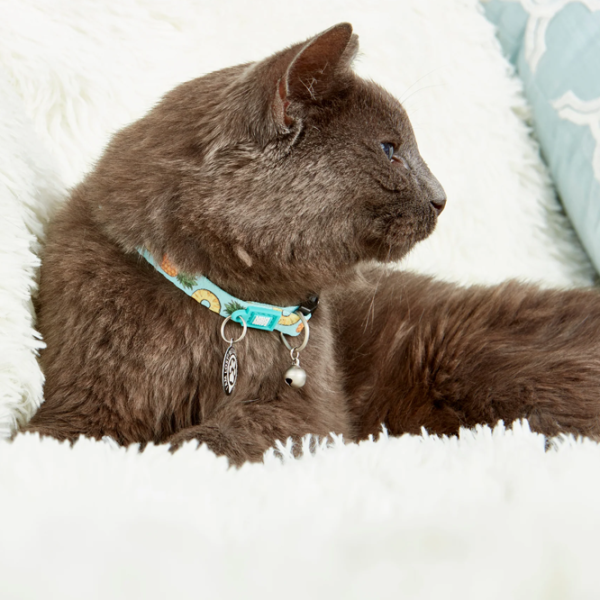 Чокер Max & Molly Smart ID Cat Sweet Pineapple для кошек photo 3 Чокер Max & Molly Smart ID Cat Sweet Pineapple для кошек photo 3
