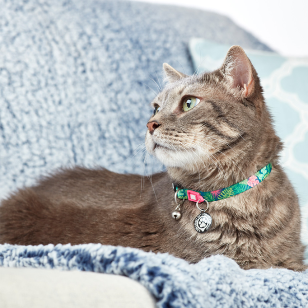 Чокер Max & Molly Smart ID Cat Tropical для кошек photo 5 Чокер Max & Molly Smart ID Cat Tropical для кошек photo 5