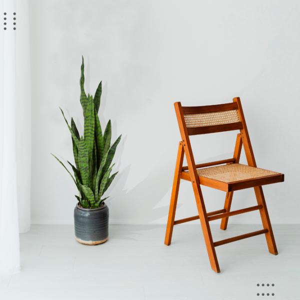 Искусственное растение NVT Sansevieria Green/ Высота (см) - 92 photo 2