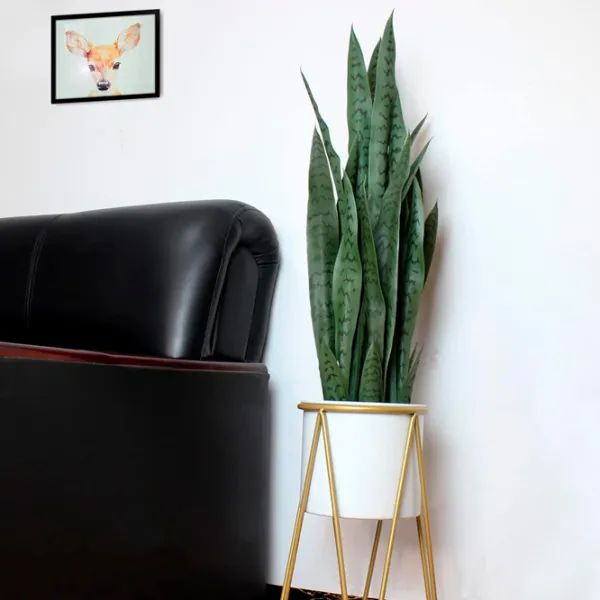Искусственное растение NVT Sansevieria Green/ Высота (см) - 92 photo 4