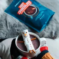 Протеин BioTechUSA Hot Chocolate protein drink 450 г (5999076240159) порошок/ Горячий шоколад photo 2