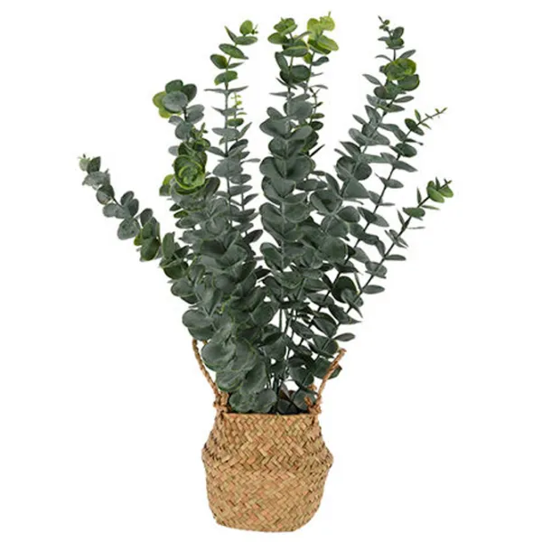 Искусственное растение ProGarden Eucalipt Green/ Высота (см) - 50 photo 1 Искусственное растение ProGarden Eucalipt Green/ Высота (см) - 50 photo 1