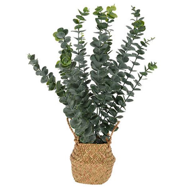 Искусственное растение ProGarden Eucalipt Green/ Высота (см) - 50 photo 1 Искусственное растение ProGarden Eucalipt Green/ Высота (см) - 50 photo 1