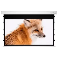 Экран для проектора Sopar Taurus Tensioned 53355ZT 213 см/ 340 см/ Настенная/ White