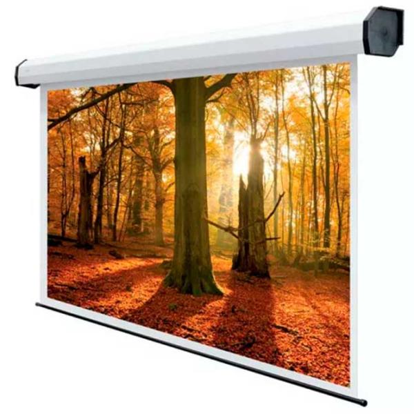 Ecran pentru proiector Sopar Colosseo 5601 451 cm/ 600 cm/ Pe perete/ White photo 2