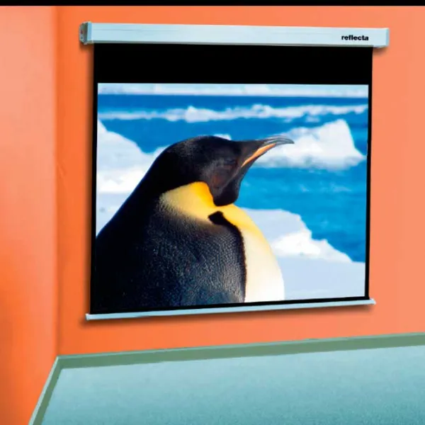 Ecran pentru proiector Reflecta Rollo SilverLine 1150811 132 cm/ 155 cm/ Pe perete/ White photo 2