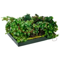 Plantă artificială NVT 38988 Green/ Înălțimea (cm) - 83