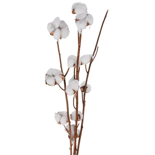 Plantă artificială NVT 49419 White/ Înălțimea (cm) - 90 photo 1 Plantă artificială NVT 49419 White/ Înălțimea (cm) - 90 photo 1