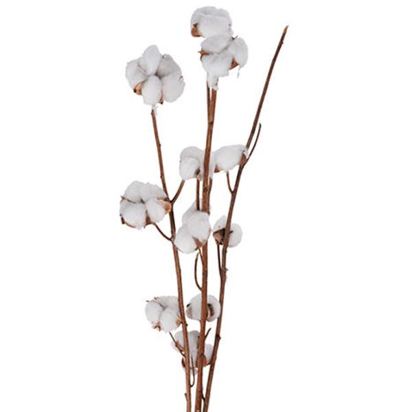 Plantă artificială NVT 49419 White/ Înălțimea (cm) - 90 photo 1 Plantă artificială NVT 49419 White/ Înălțimea (cm) - 90 photo 1