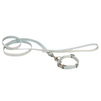 Поводок Beeztees PUPPY SET TORI для собаки