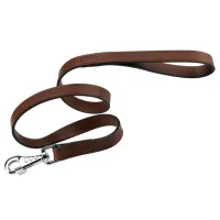 Lesă Beeztees IPTS pentru câine