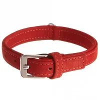 Zgardă Beeztees BUFFALO Strass pentru câine