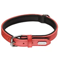 Zgardă Flamingo BINTI pentru câine