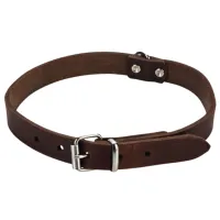 Zgardă Beeztees 735347 pentru câine