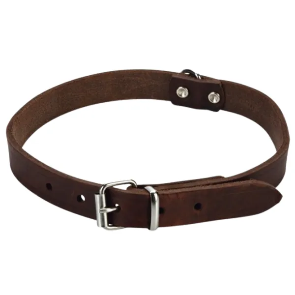 Zgardă Beeztees 735349 pentru câine photo 1 Zgardă Beeztees 735349 pentru câine photo 1