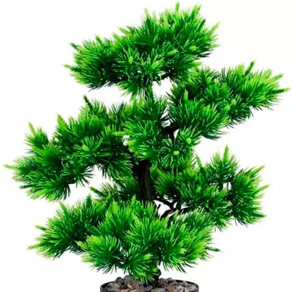 Искусственное растение Cilgin CLG143SYH Green/ Высота (см) - 34 photo 3 Искусственное растение Cilgin CLG143SYH Green/ Высота (см) - 34 photo 3