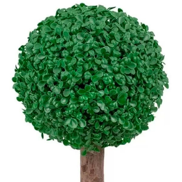 Искусственное растение Cilgin CLG09TOP Green/ Высота (см) - 40 photo 2 Искусственное растение Cilgin CLG09TOP Green/ Высота (см) - 40 photo 2