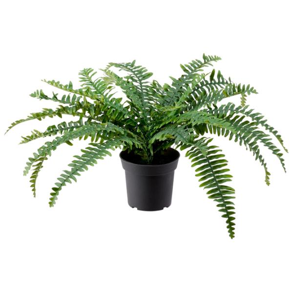 Искусственное растение Ikea Fejka Green/ Высота (см) - 15 photo 1 Искусственное растение Ikea Fejka Green/ Высота (см) - 15 photo 1