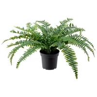 Plantă artificială Ikea Fejka Green/ Înălțimea (cm) - 15