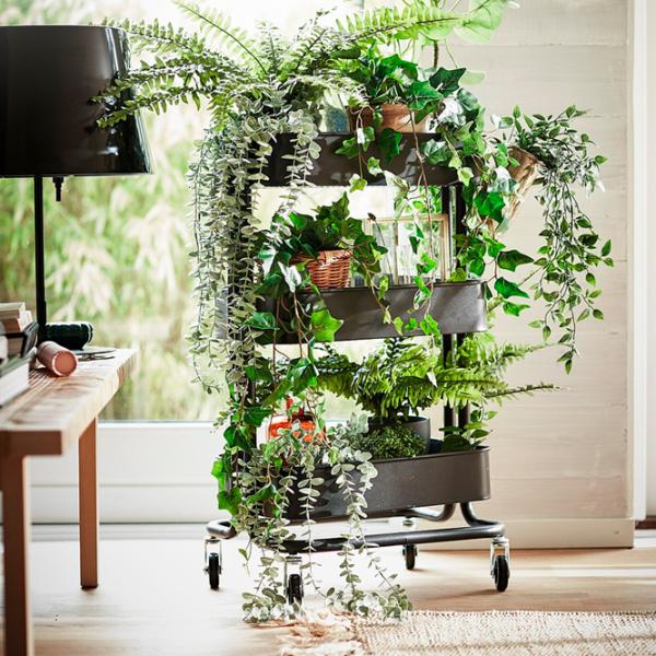 Искусственное растение Ikea Fejka Green/ Высота (см) - 15 photo 2 Искусственное растение Ikea Fejka Green/ Высота (см) - 15 photo 2