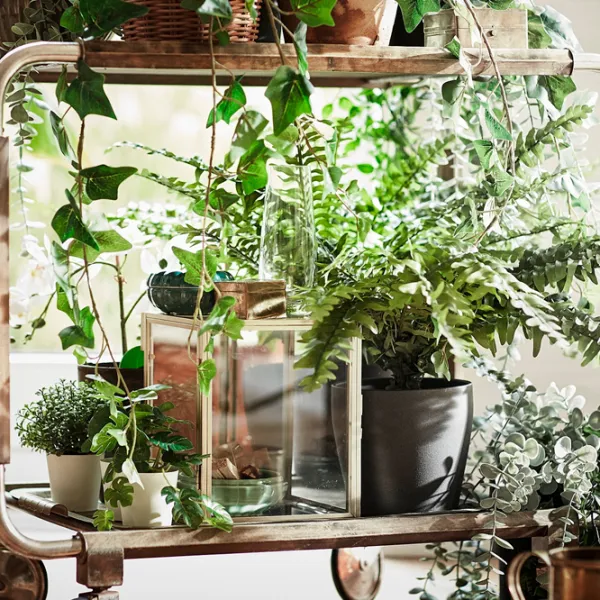 Искусственное растение Ikea Fejka Green/ Высота (см) - 15 photo 3 Искусственное растение Ikea Fejka Green/ Высота (см) - 15 photo 3